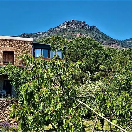 Country house Mas Olivella Pod