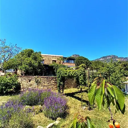 Mas Olivella Pod Country house Alforja